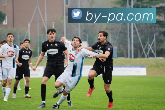 PA官网平台生态图